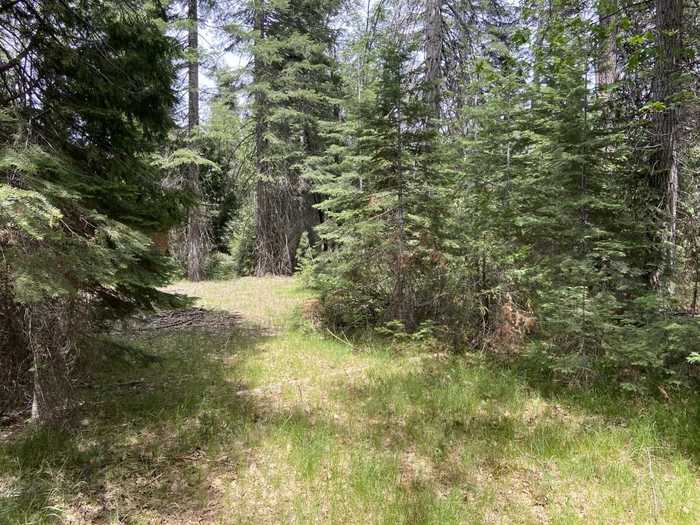 photo 1: 1-A-5 Mt Shasta Dr, McCloud CA 96057