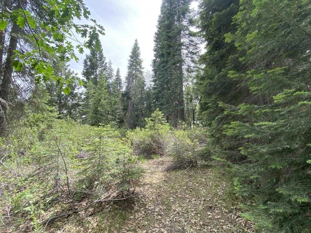 photo 2: 1-A-5 Mt Shasta Dr, McCloud CA 96057