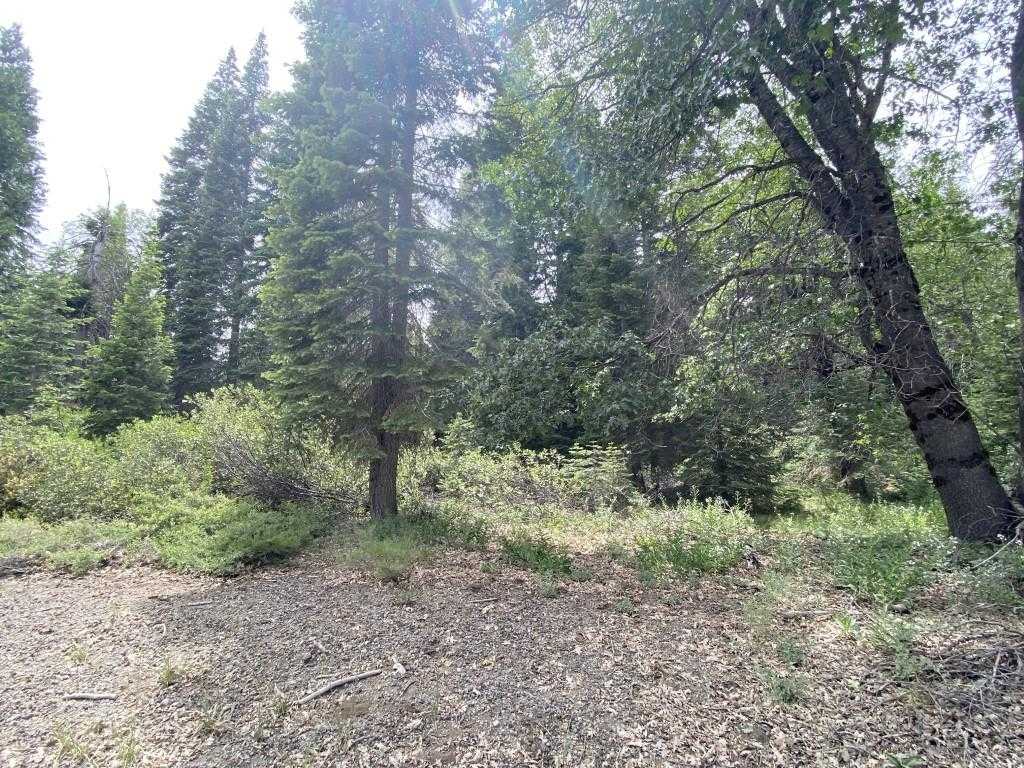 photo 3: 1-A-5 Mt Shasta Dr, McCloud CA 96057