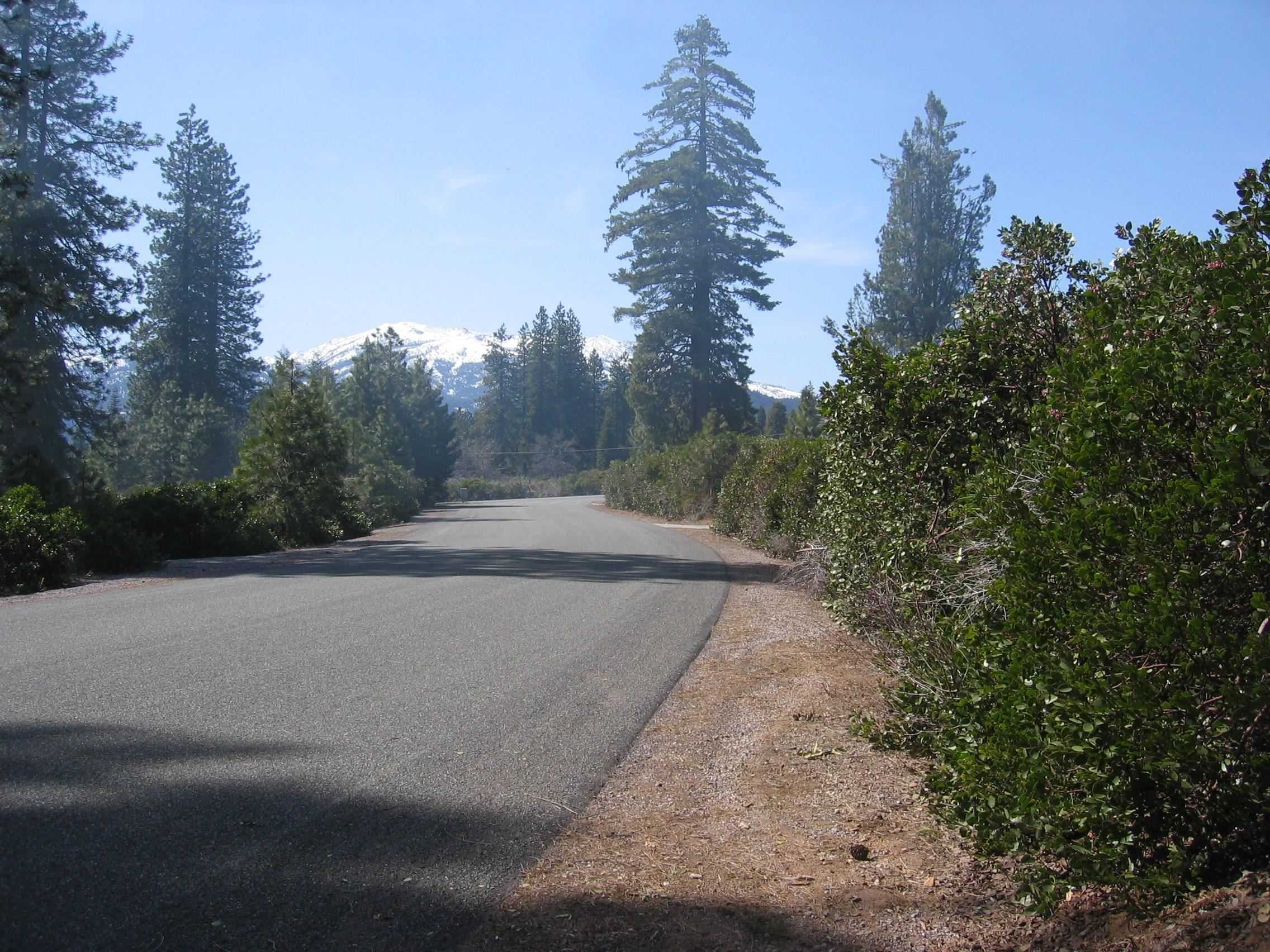 photo 1: Lot 3 Fryer's Way, Mt Shasta CA 96067