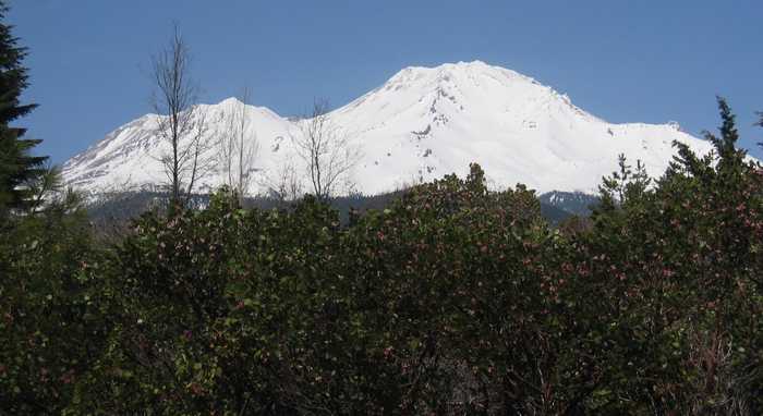 photo 2: Lot 3 Fryer's Way, Mt Shasta CA 96067