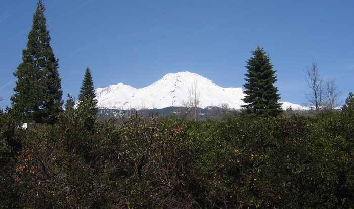 photo 7: Lot 3 Fryer's Way, Mt Shasta CA 96067