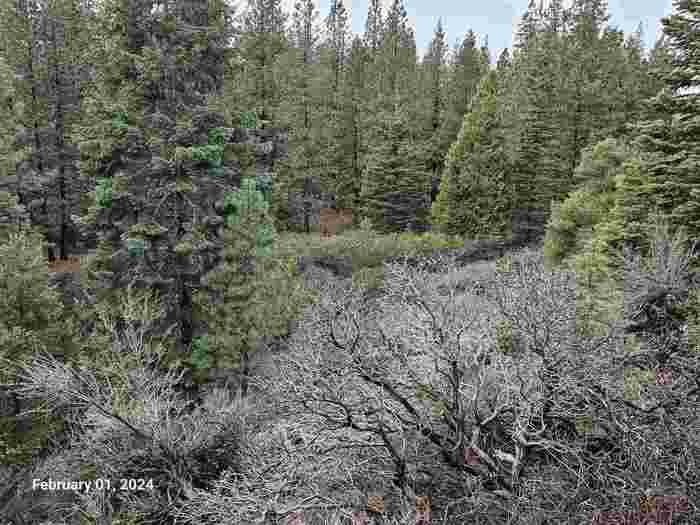 photo 2: 1.4 Acres Summit Drive, Mt Shasta CA 96067