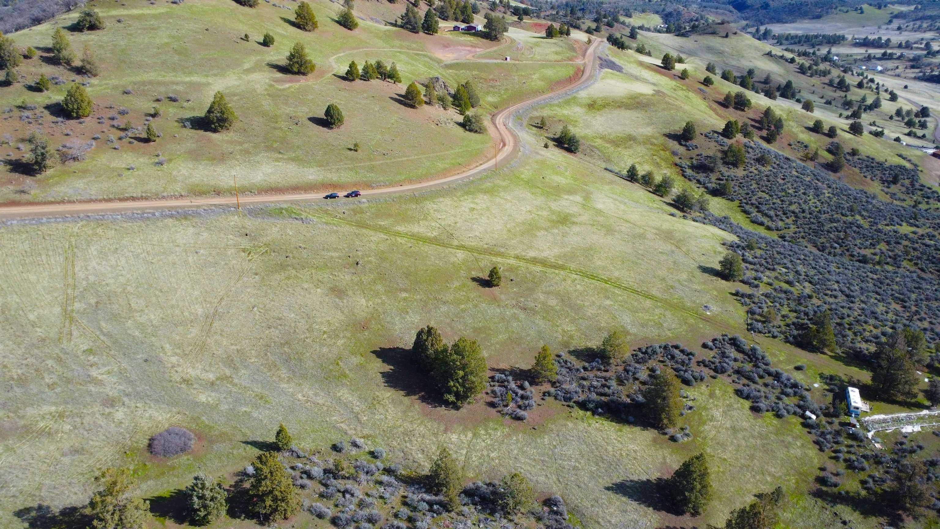 photo 3: Lot 490 Cod Dr., Hornbrook CA 96044