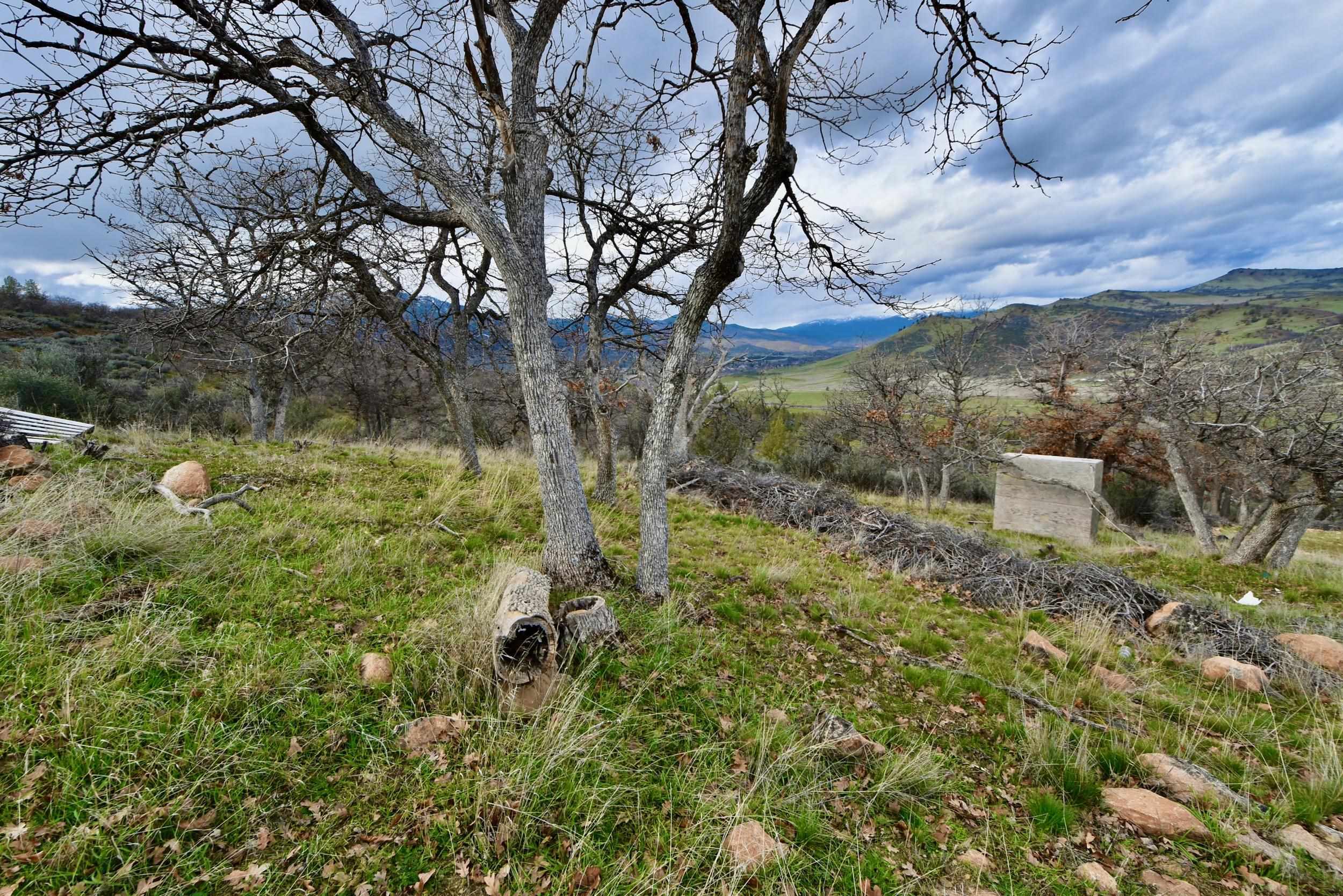 photo 1: Lot 333 Rooster. Dr., Hornbrook CA 96044