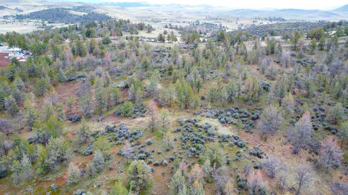 photo 2: Lot 759 Moore Rd., Hornbrook CA 96044