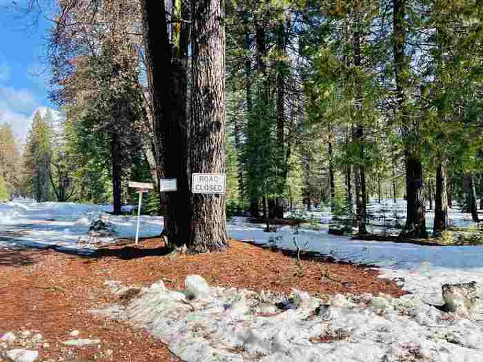 photo 1: 1-L-3 Lava Drive, McCloud CA 96057