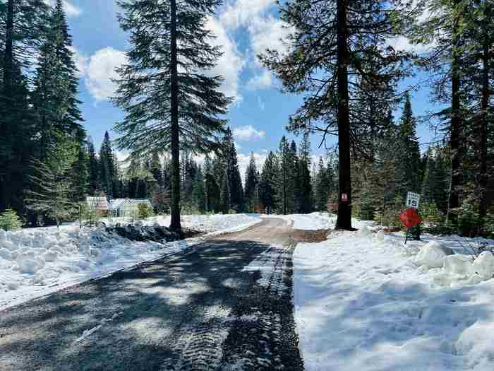 photo 13: 1-L-3 Lava Drive, McCloud CA 96057