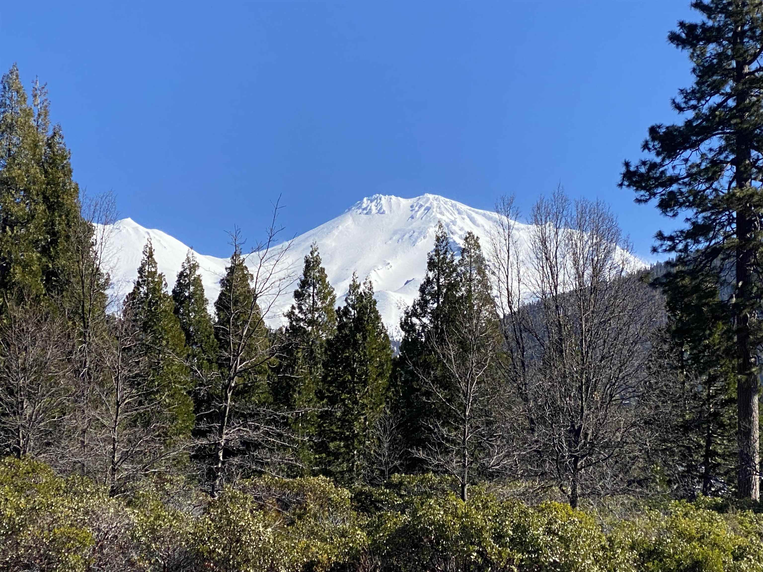 photo 2: Lot 23 North Ridge Drive, Mt Shasta CA 96067