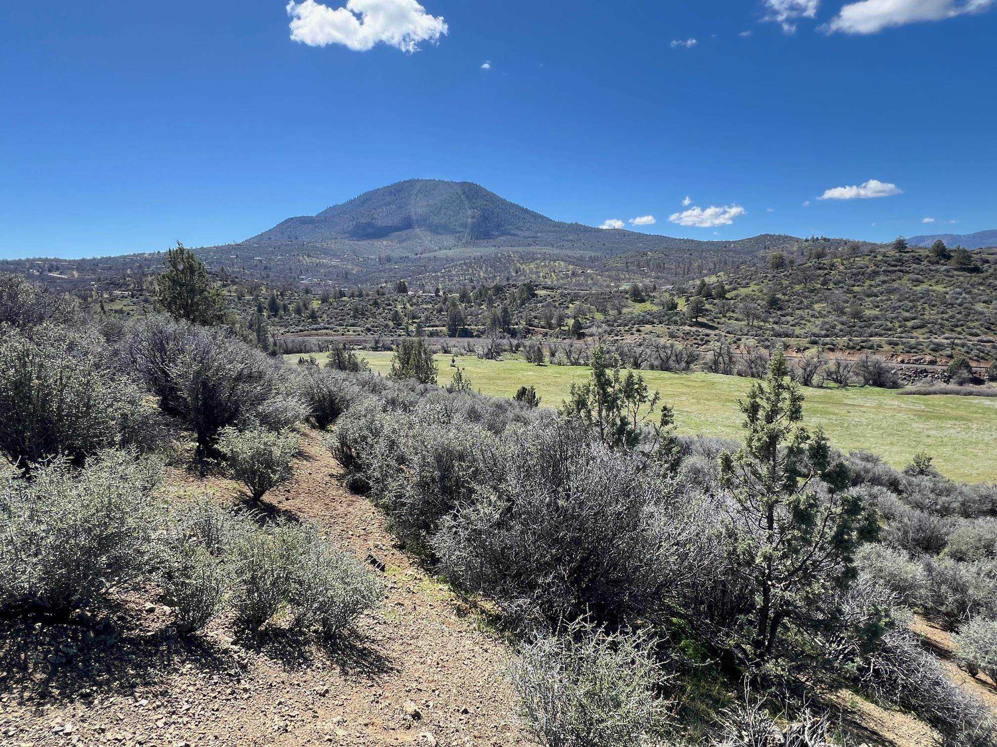 photo 1: Unit 2 Lot 57 Dennis Pl, Hornbrook CA 96044