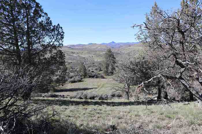 photo 1: LOT 116 Greentree St, Hornbrook CA 96044