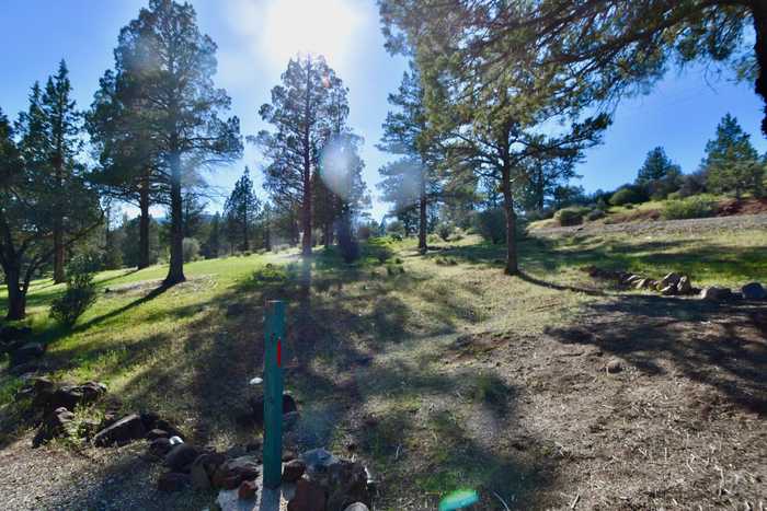 photo 26: Lot 539 Blue Gill, Hornbrook CA 96044