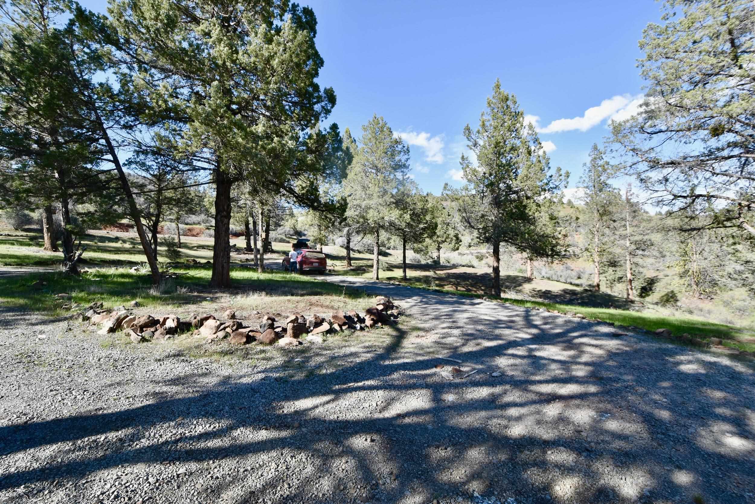 photo 3: Lot 539 Blue Gill, Hornbrook CA 96044