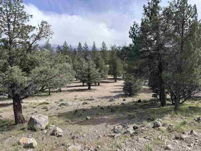 photo 2: Lot 70,170,171 Dwinell, Weed CA 96094