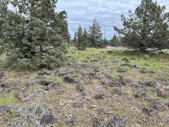 photo 2: Lot 46 Marble Avenue, Montague CA 96064