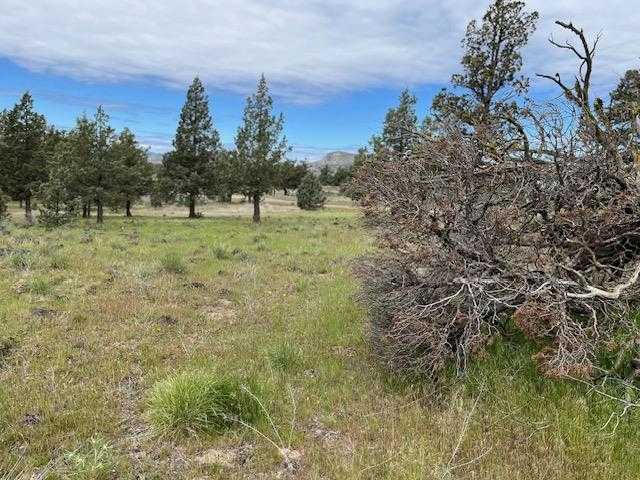 photo 3: Lot 46 Marble Avenue, Montague CA 96064