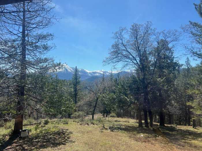 photo 2: 40 Acres Sugar creek road, Callahan CA 96014