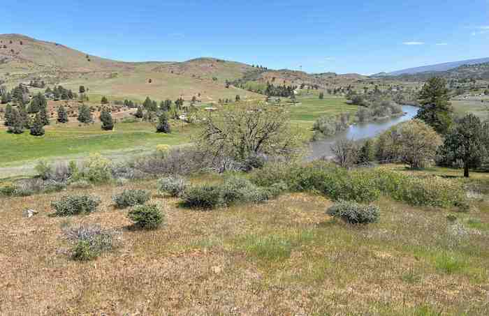 photo 1: Lot 231 Pine Ct, Hornbrook CA 96044