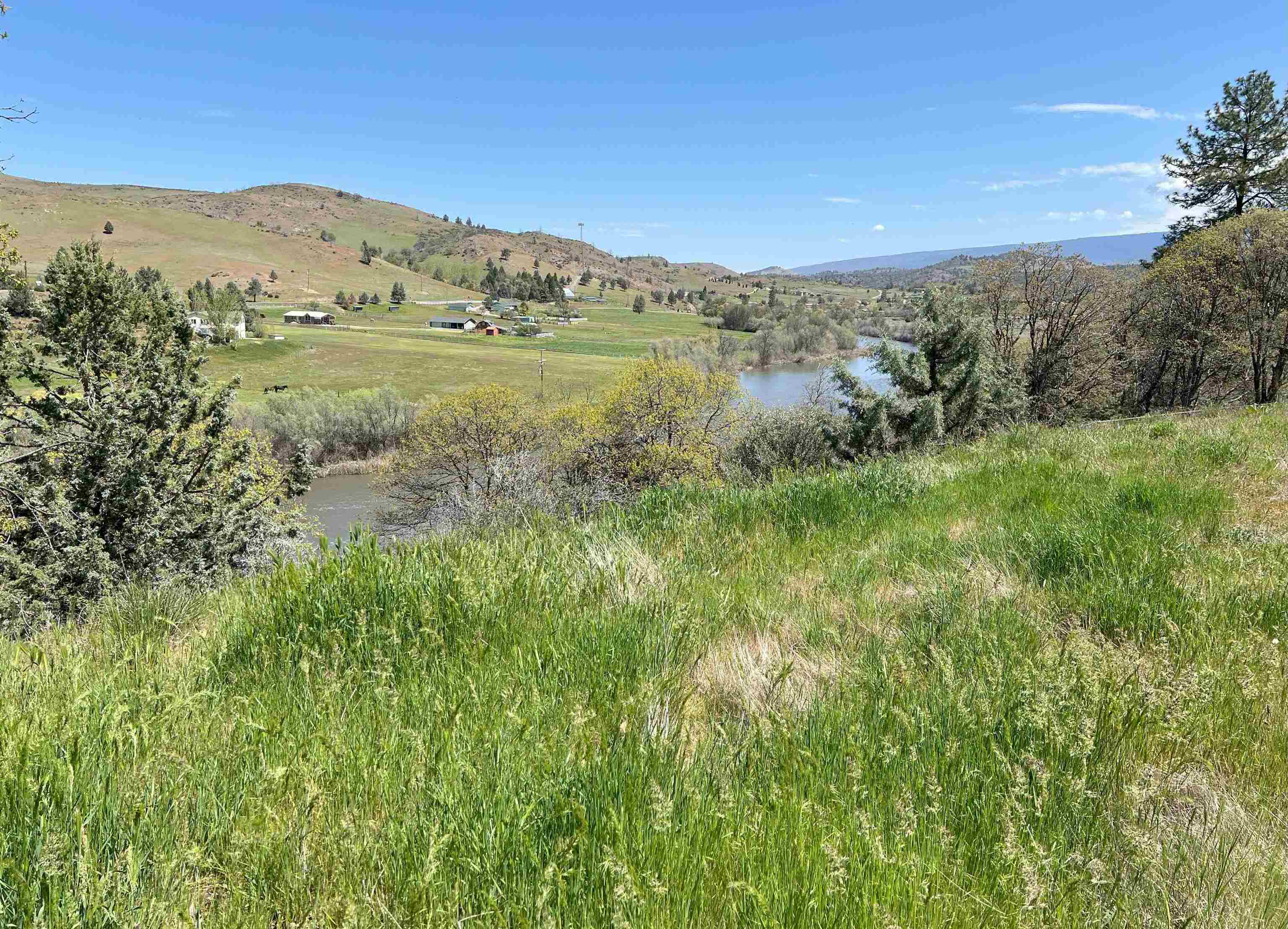 photo 2: Lot 231 Pine Ct, Hornbrook CA 96044