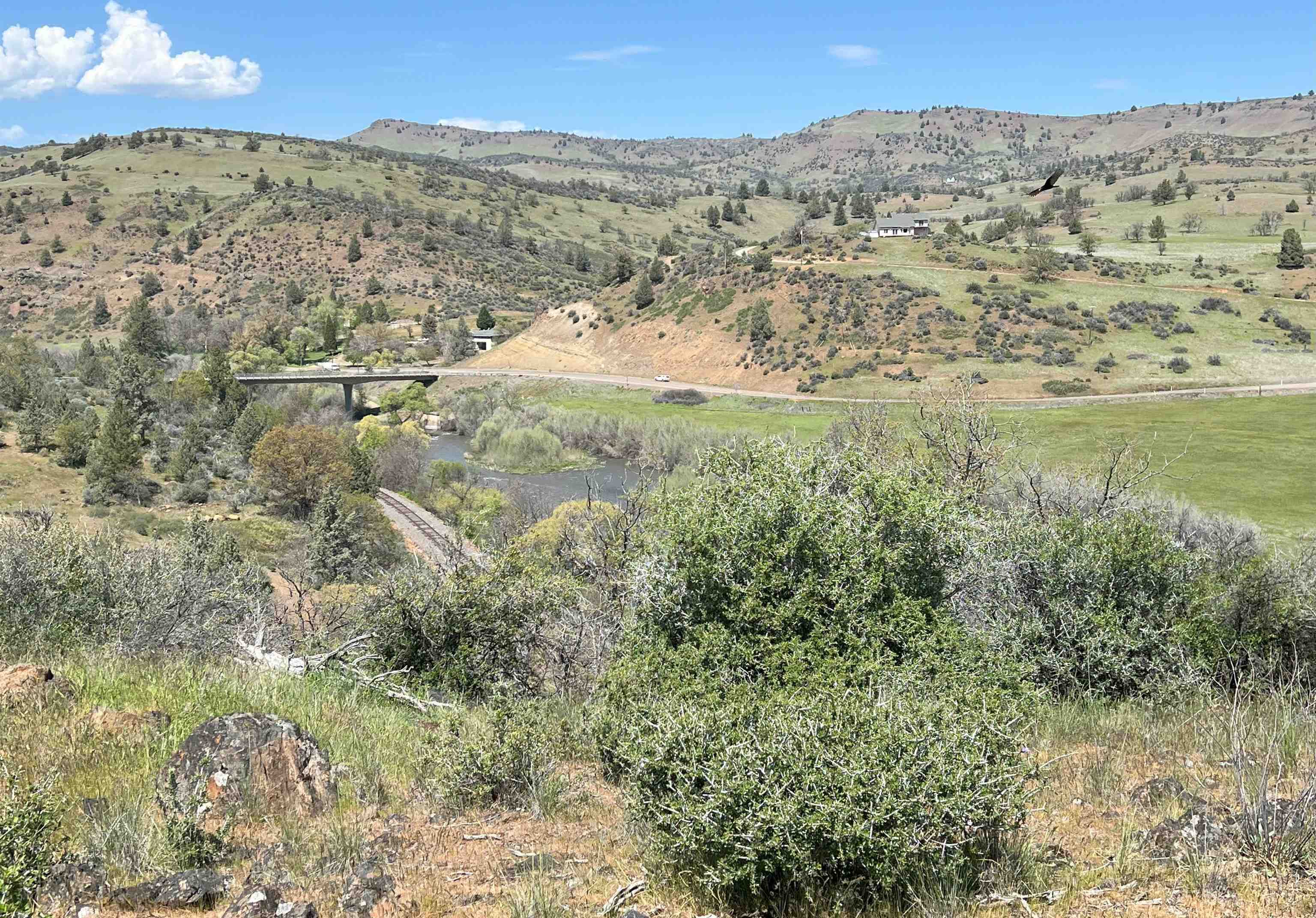 photo 3: Lot 231 Pine Ct, Hornbrook CA 96044