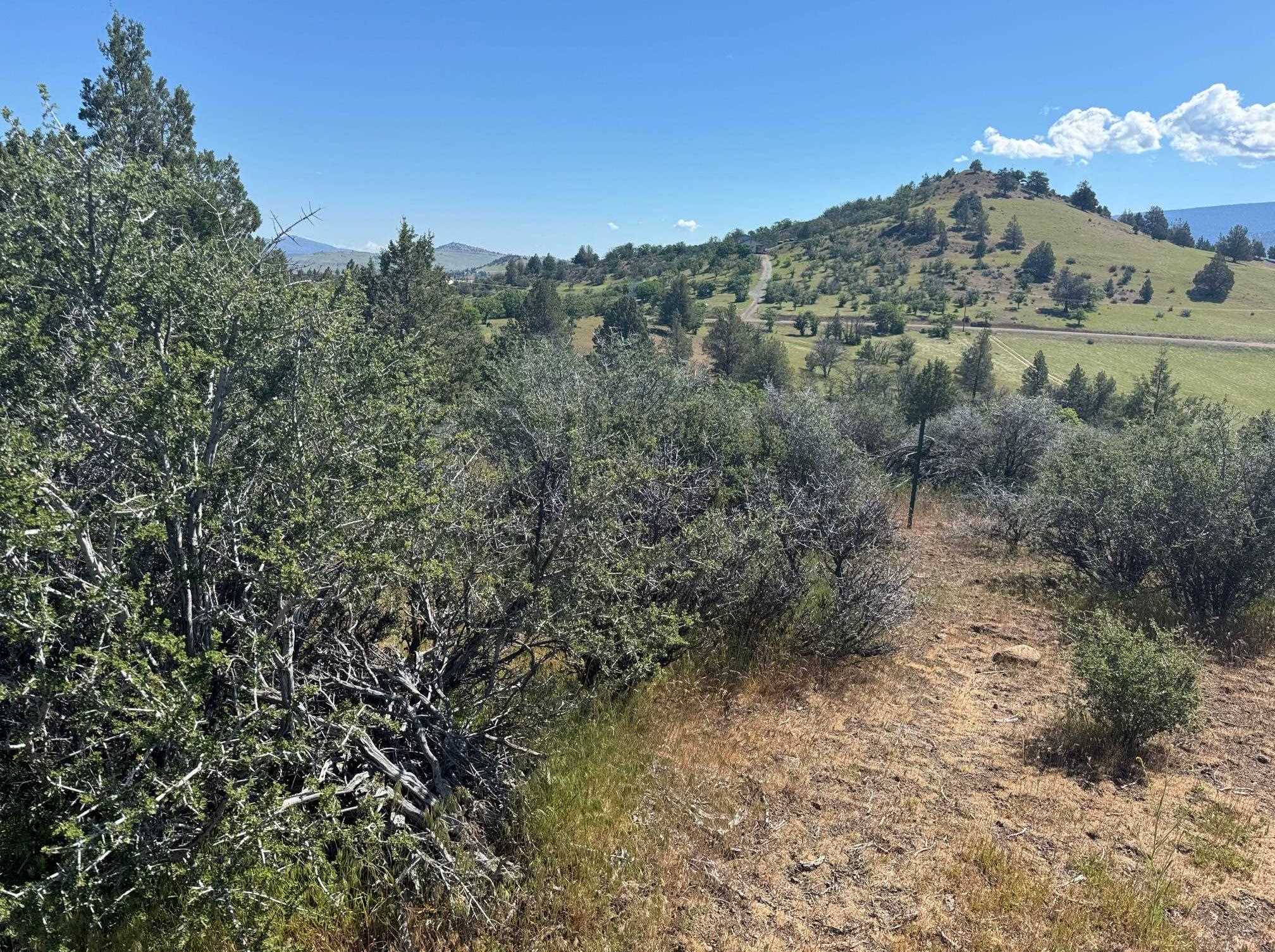 photo 3: Unit 4 Lot 484 Erick Ln, Hornbrook CA 96044