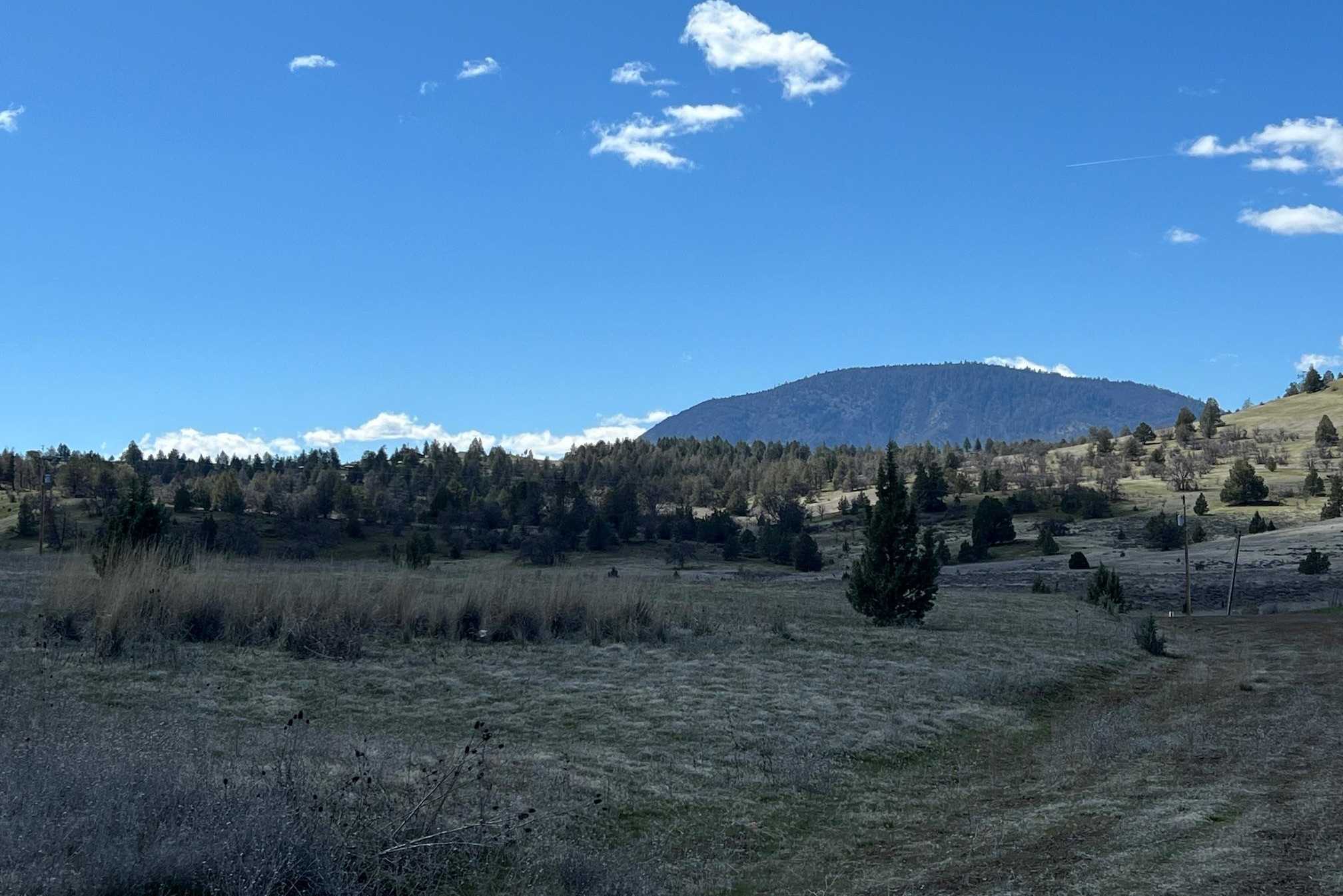 photo 2: Unit 5 Lot 55 Leopard Ln, Montague CA 96064