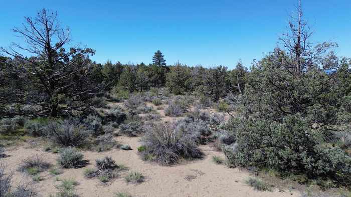 photo 21: Lot 25 Perla Dr., Montague CA 96064