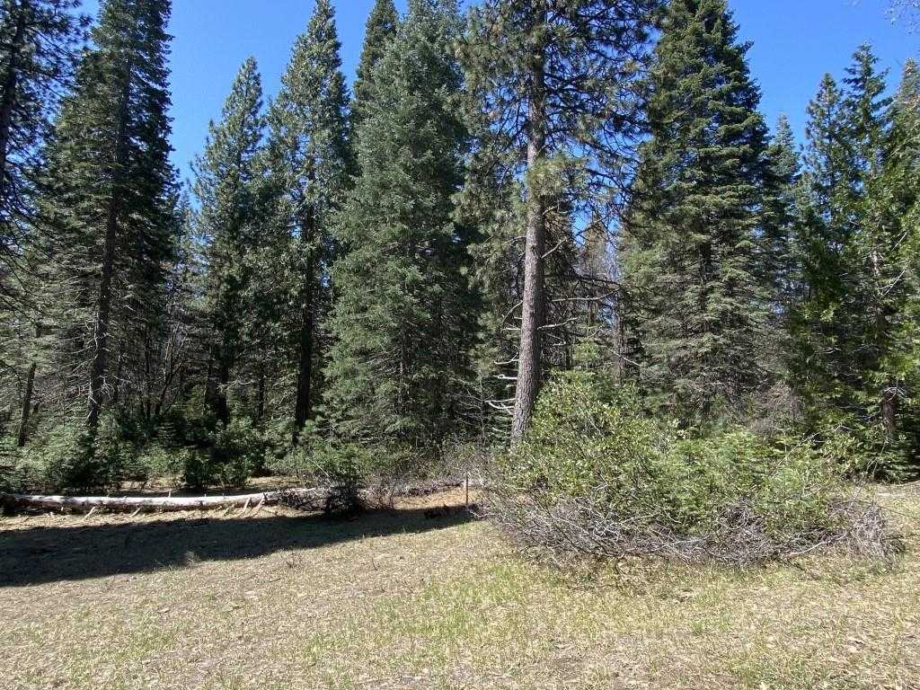 photo 2: 2-D-20 Widow Springs Dr, McCloud CA 96057