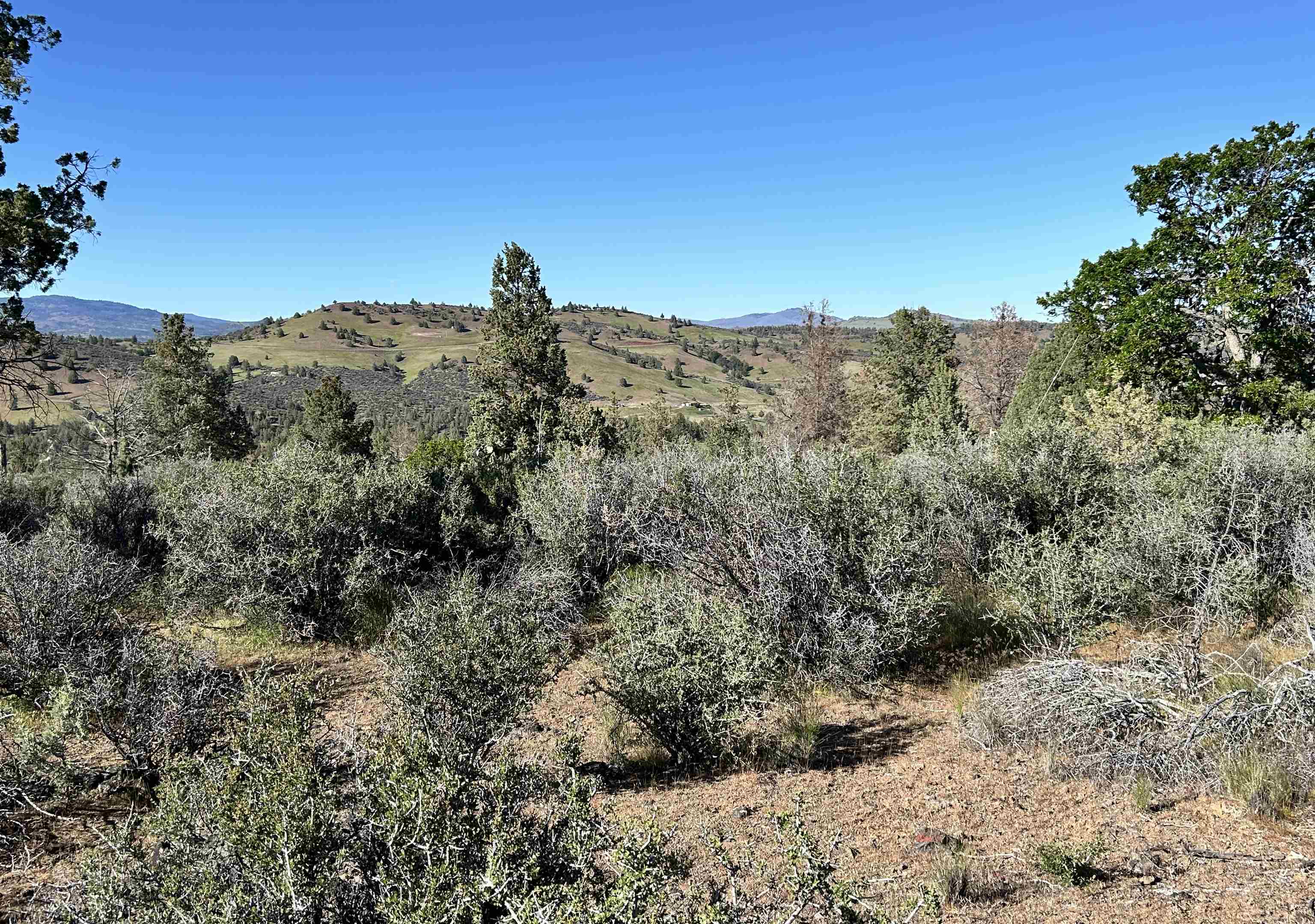 photo 1: Lot #641 Swan Way, Hornbrook CA 96044