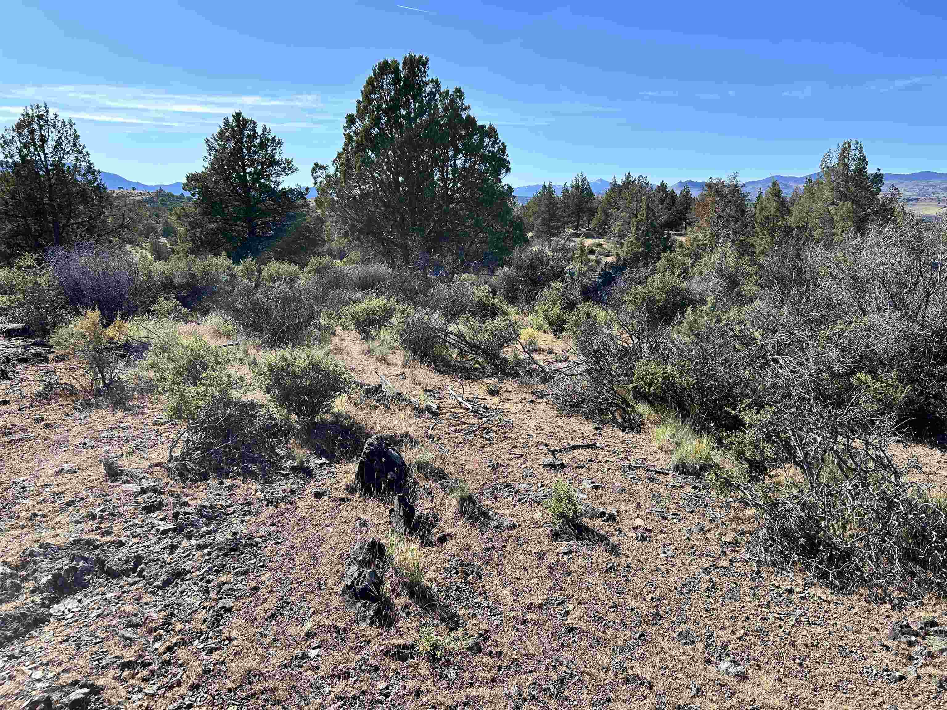 photo 3: Lot #641 Swan Way, Hornbrook CA 96044