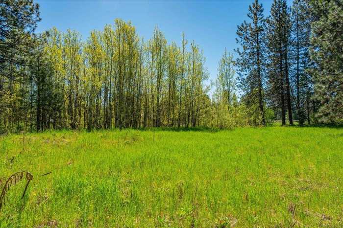 photo 1: Lot 1 Old Mill Drive, McCloud CA 96057