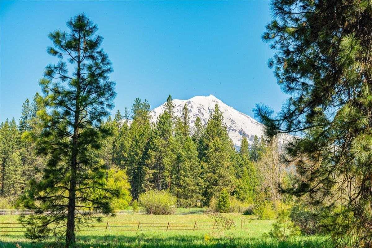 photo 2: Lot 1 Old Mill Drive, McCloud CA 96057