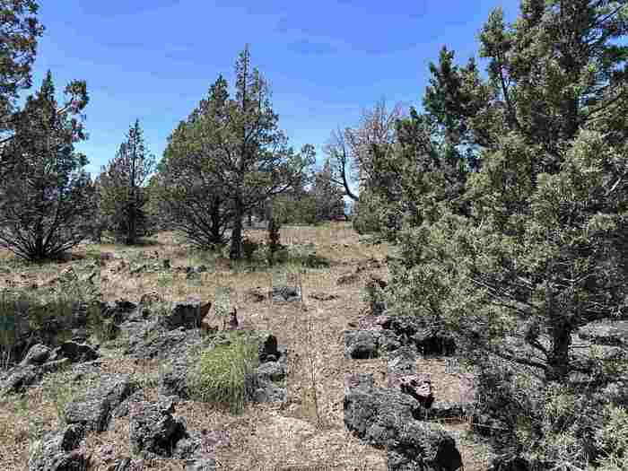 photo 12: Lot B Sweet Sage Rd, Montague CA 96064