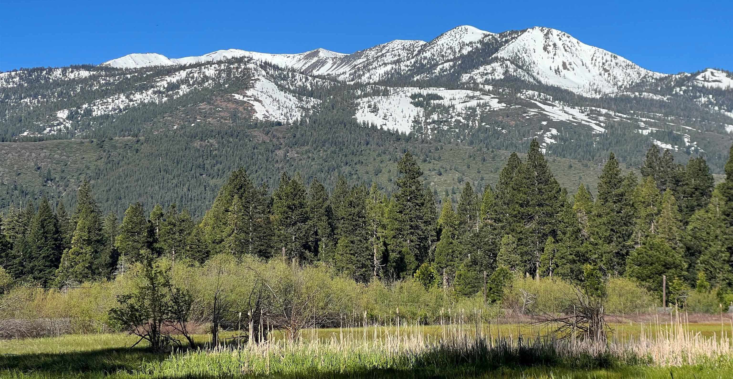 photo 1: Kaiser Meadow Kaiser Meadow, Mt Shasta CA 96067