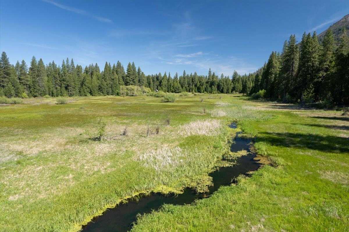 photo 2: Kaiser Meadow Kaiser Meadow, Mt Shasta CA 96067