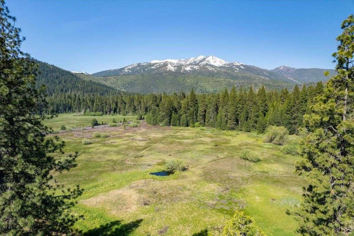 photo 3: Kaiser Meadow Kaiser Meadow, Mt Shasta CA 96067