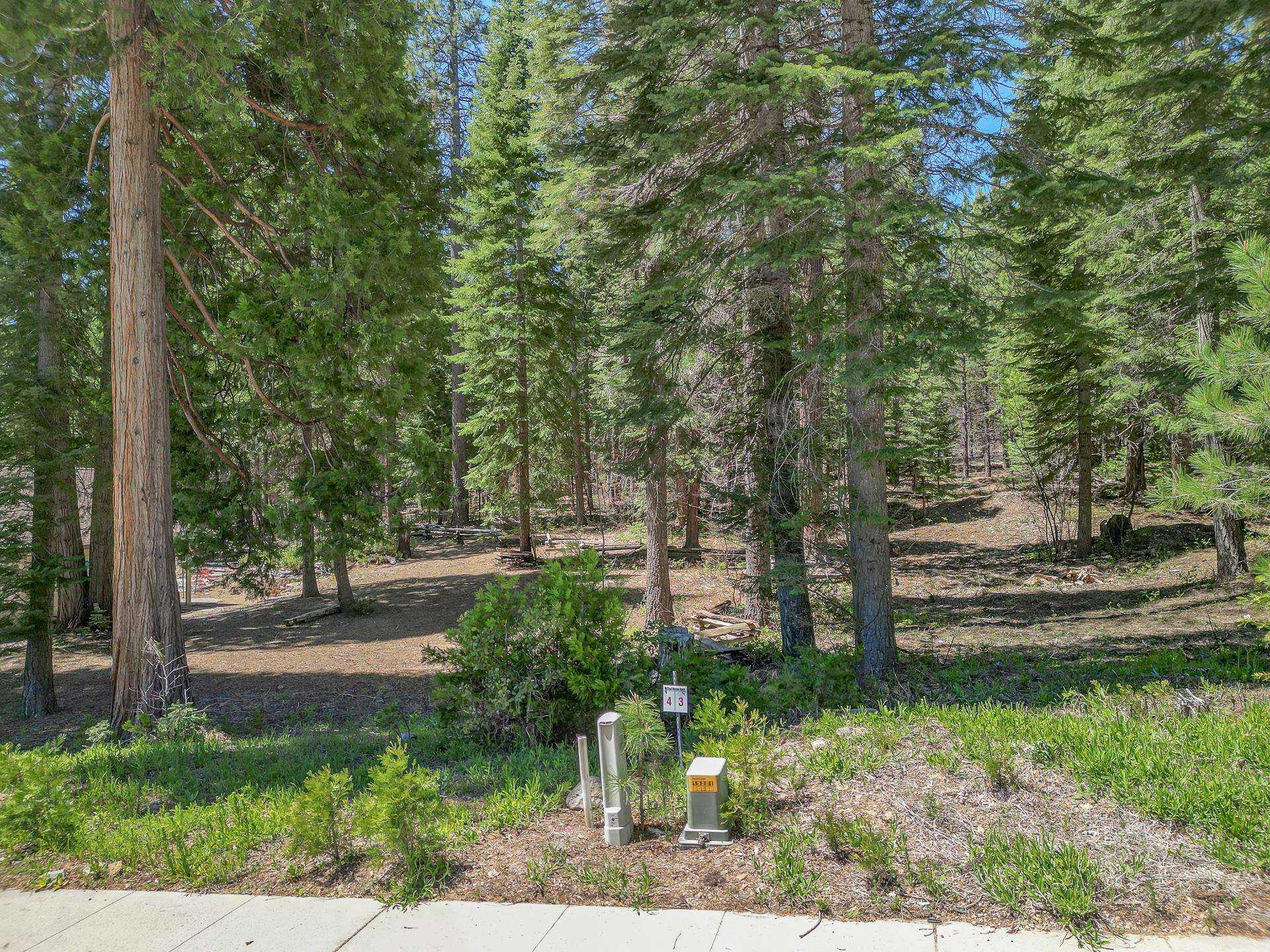 photo 1: 16 Old Mill Drive, McCloud CA 96057