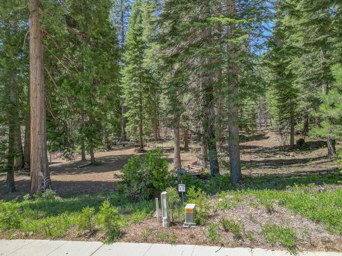 photo 1: 16 Old Mill Drive, McCloud CA 96057