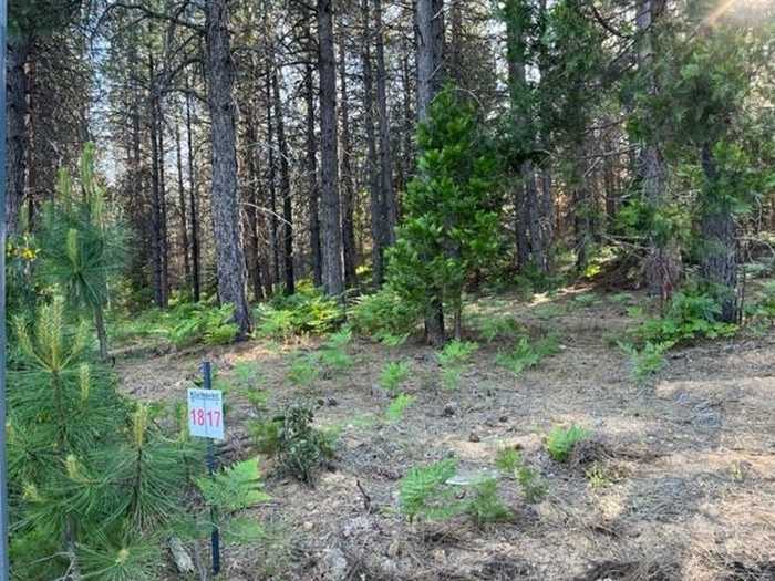 photo 1: 17 Old Mill Dr., McCloud CA 96057