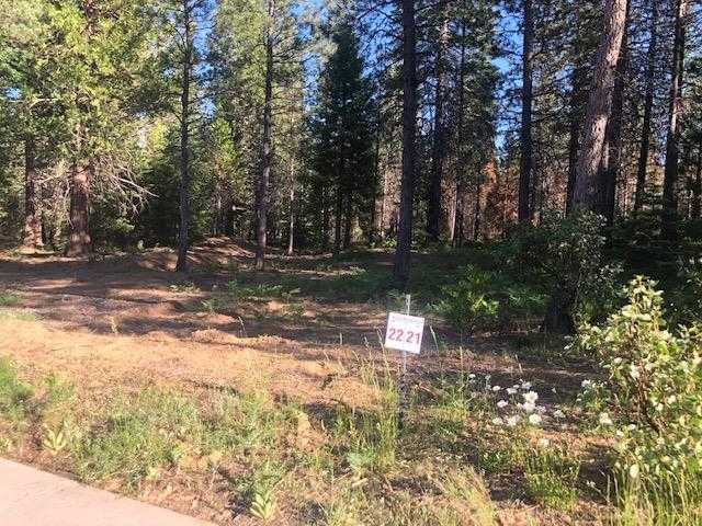 photo 1: 22 Old Mill Dr, McCloud CA 96057