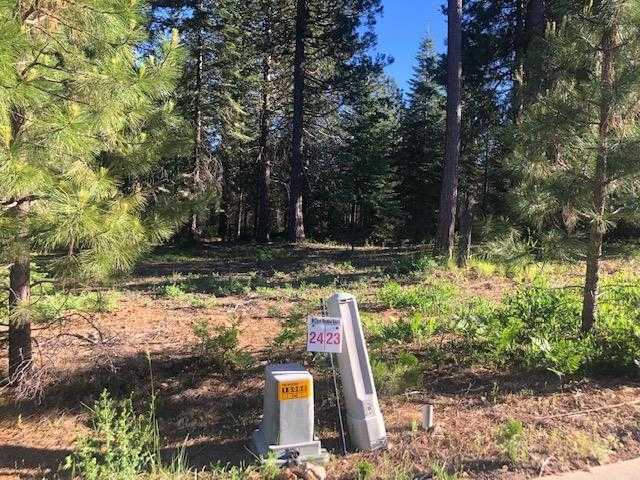 photo 1: 23 Old Mill Dr, McCloud CA 96057