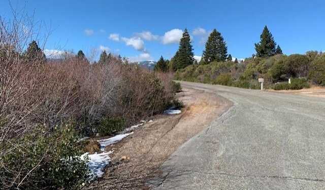 photo 3: Lot 8 Twin View Ct., Mt Shasta CA 96067