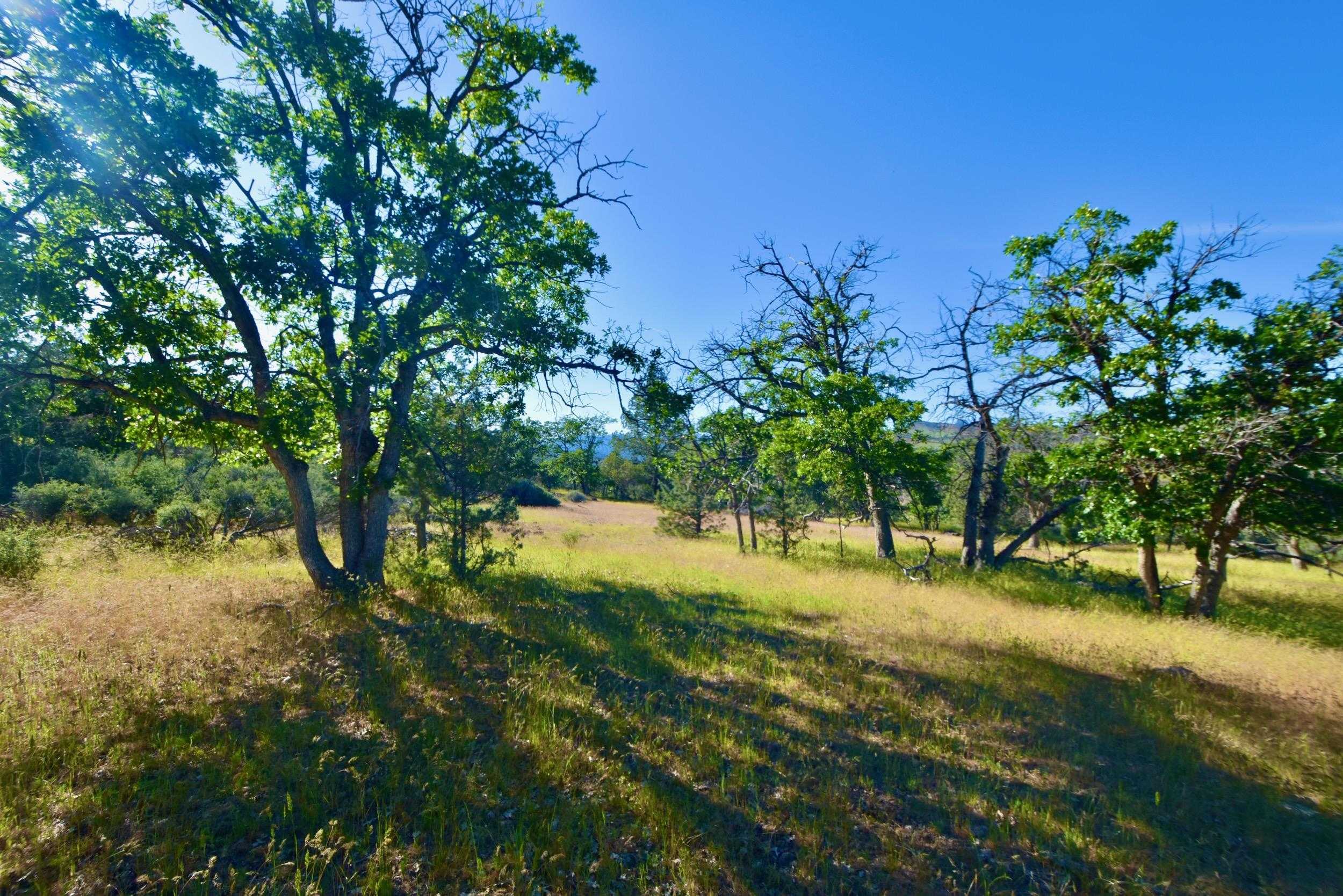 photo 2: Oak Vew Rd, Hornbrook CA 96044