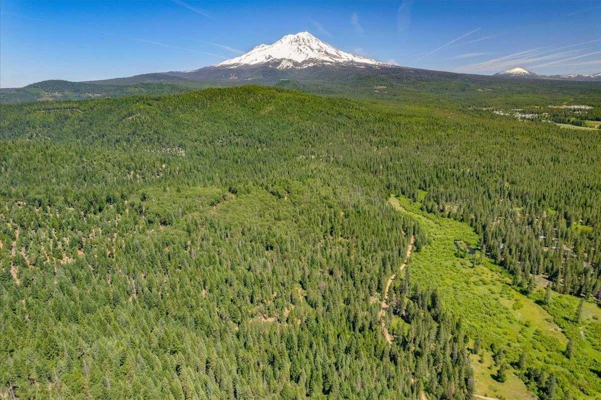 photo 1: 20 Acre Lot Circle Seven Road, McCloud CA 96057