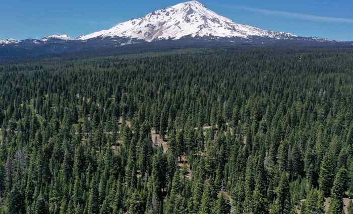 photo 1: 4-G-5 Shasta Circle, McCloud CA 96057