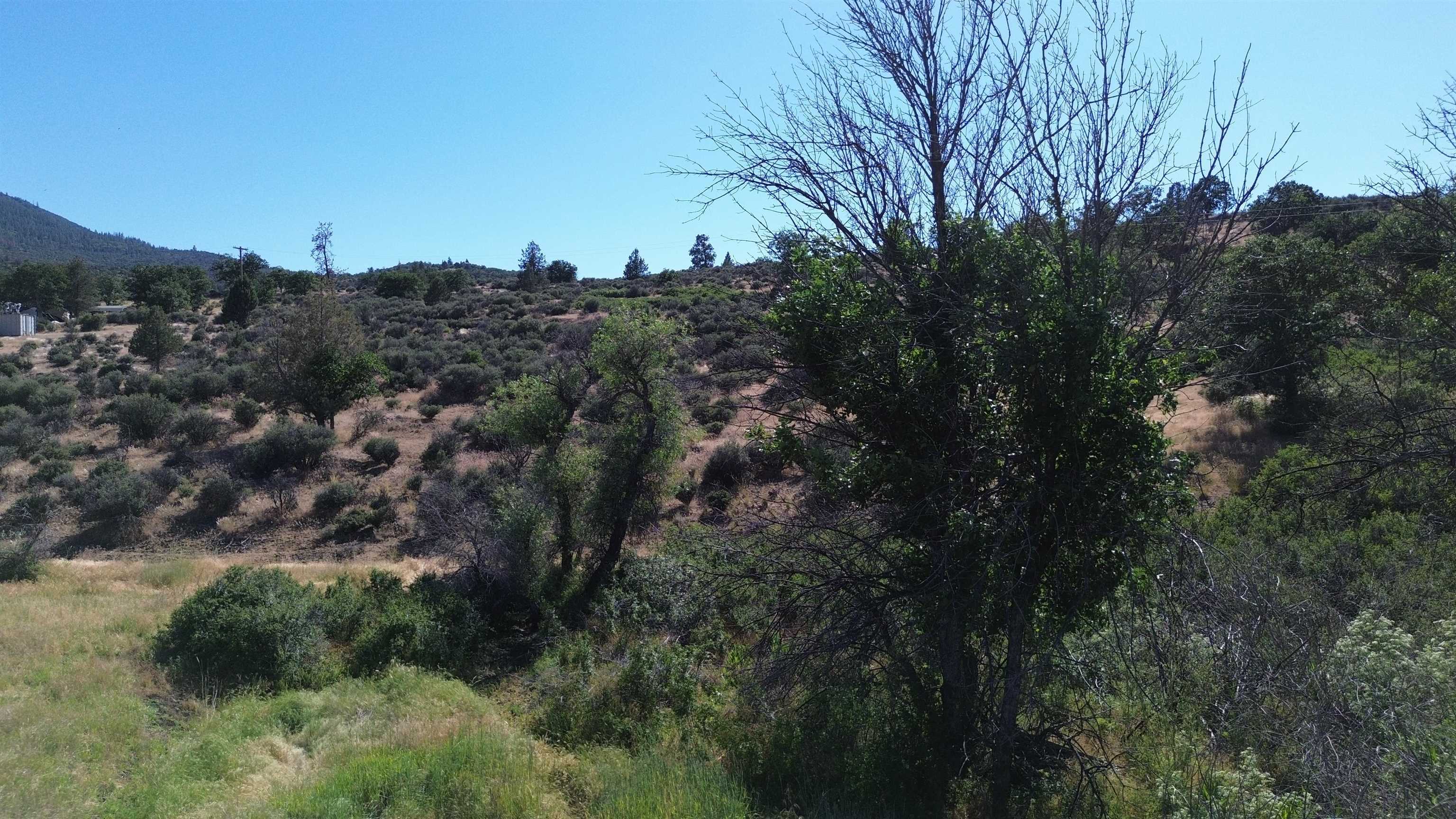 photo 3: Lot 174 Redwood St., Hornbrook CA 96044