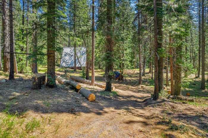 photo 2: 3-E-21 Mt Shasta Dr, McCloud CA 96057