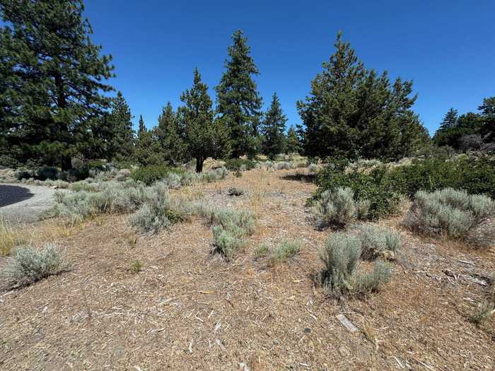 photo 1: 8-1 Lot 233 Lakeside Dr, Weed CA 96094