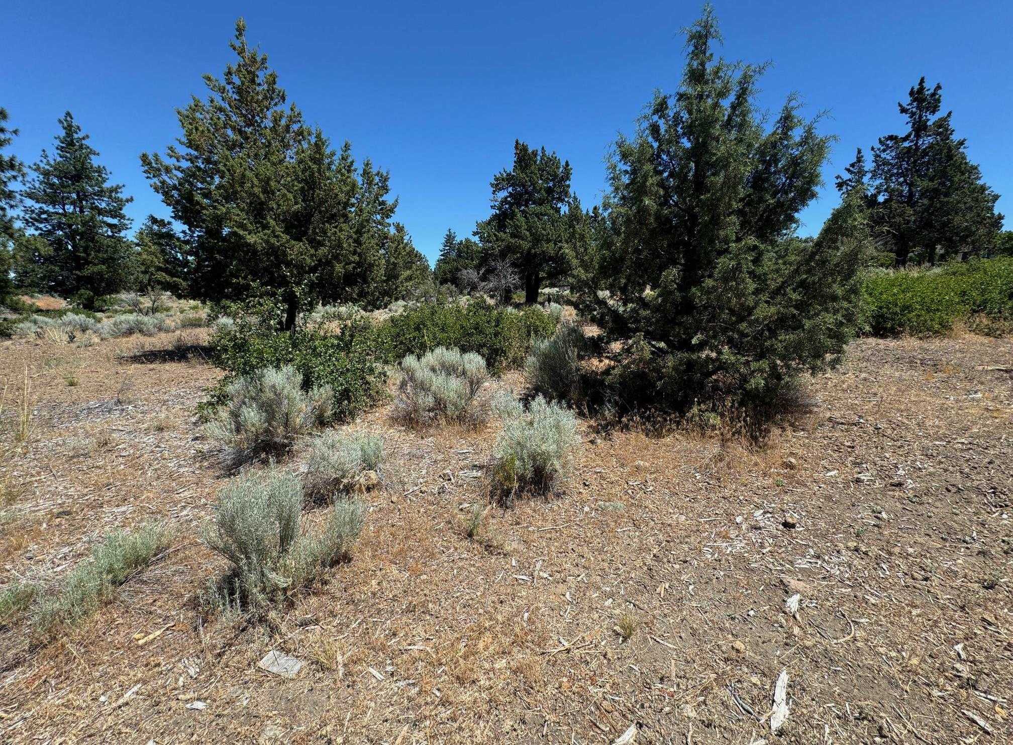 photo 2: 8-1 Lot 233 Lakeside Dr, Weed CA 96094