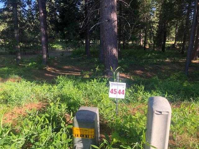 photo 1: 44 Panther Meadow, McCloud CA 96057